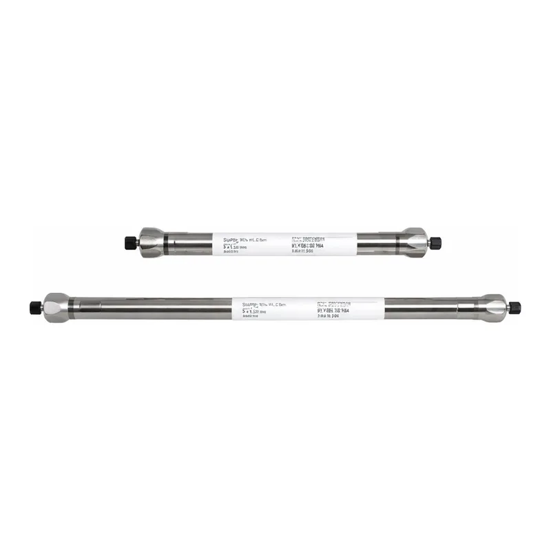 Thermo Fisher Scientific MAbPac SCX-10 RS Monoclonal Antibody Analysis Column, 5µm