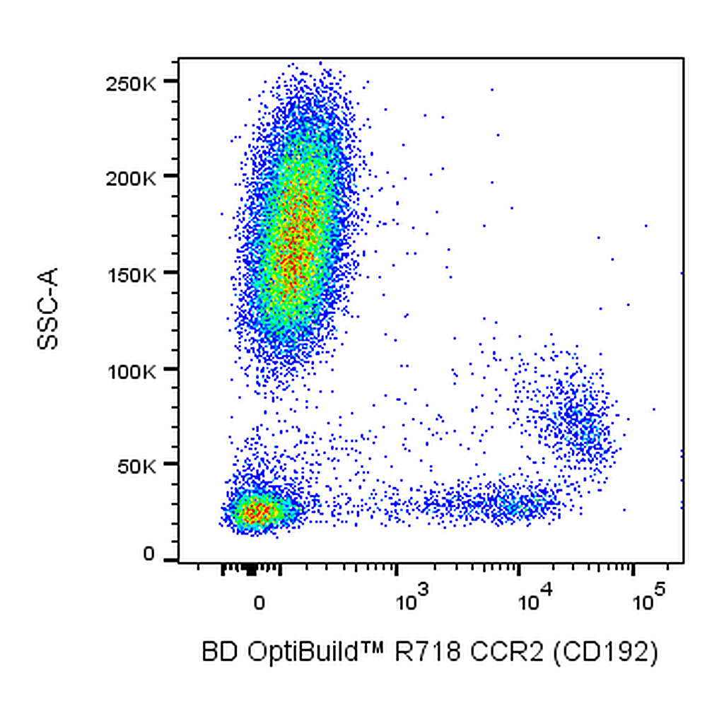 BD R718 Mouse Anti-Human CCR2 (CD192)