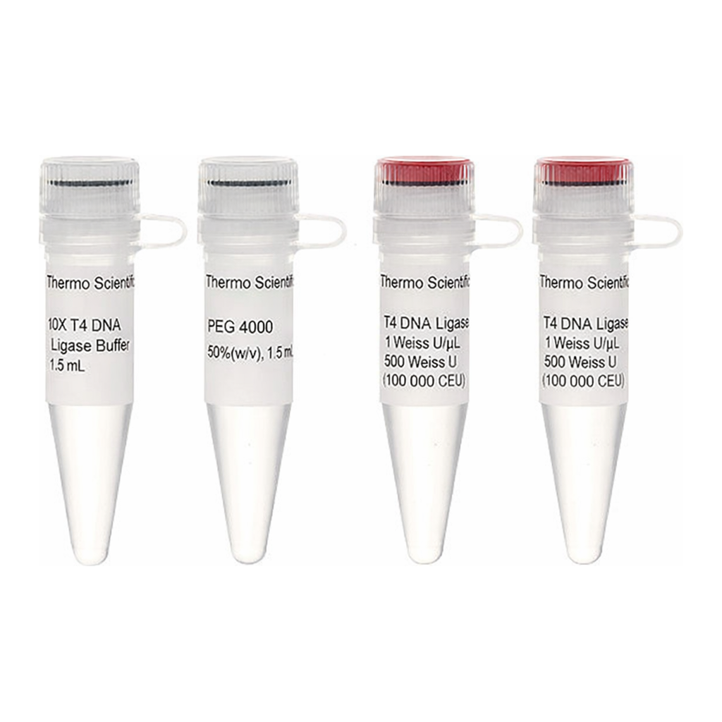 Thermo Fisher Scientific T4 DNA Ligase, LC (1 U/μL)