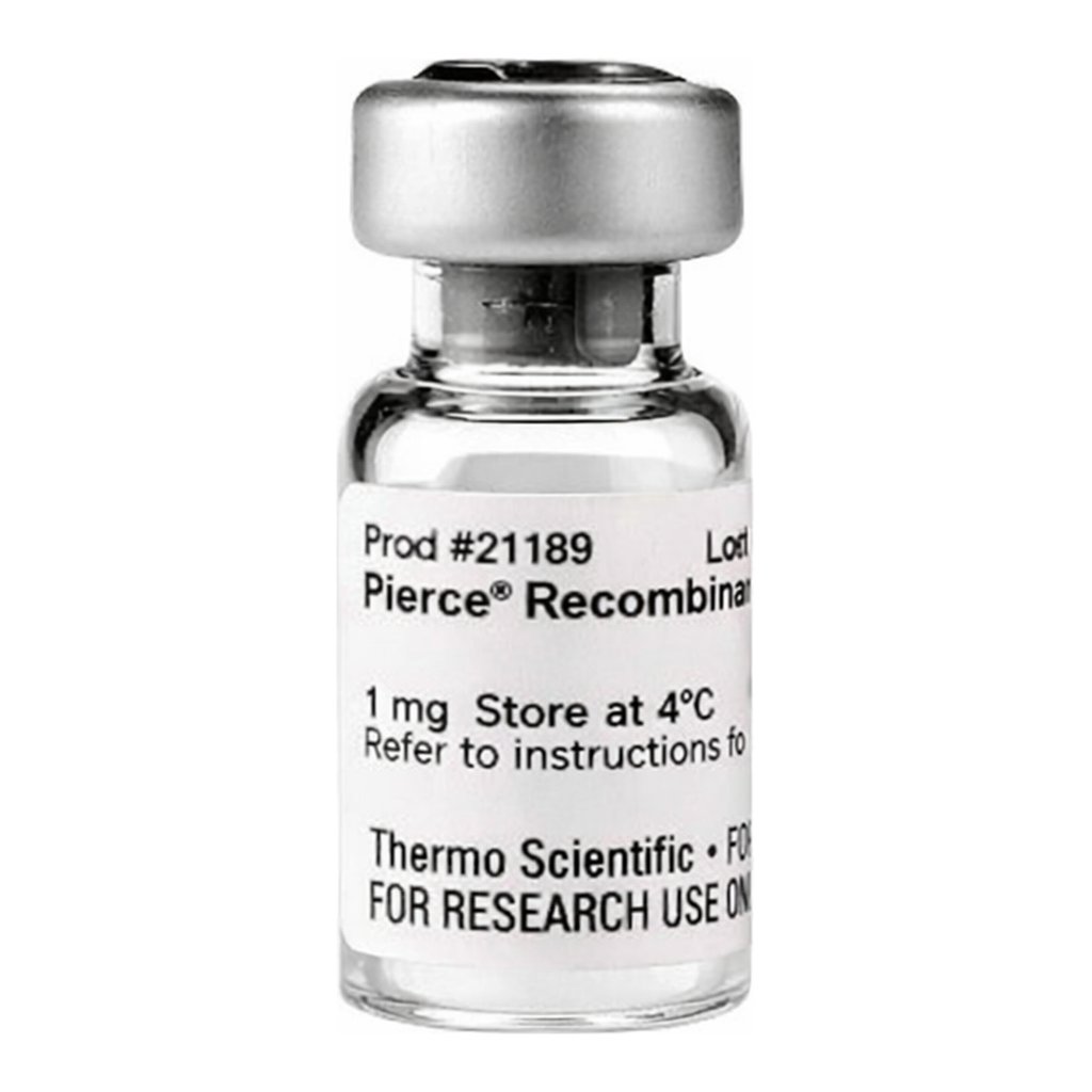 Thermo Fisher Scientific Pierce Recombinant Protein L, 1 mg