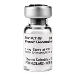 Thermo Fisher Scientific Pierce Recombinant Protein L, 1 mg