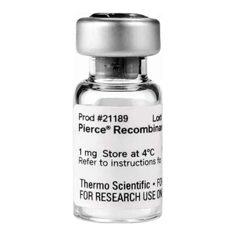 Thermo Fisher Scientific Pierce Recombinant Protein L, 1 mg