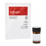Thermo Fisher Scientific Lissamine Rhodamine B 1,2-Dihexadecanoyl-sn-Glycero-3-Phosphoethanolamine, Triethylammonium Salt (rhodamine DHPE)