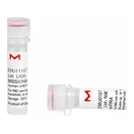 Merck MISSION(R) esiRNA