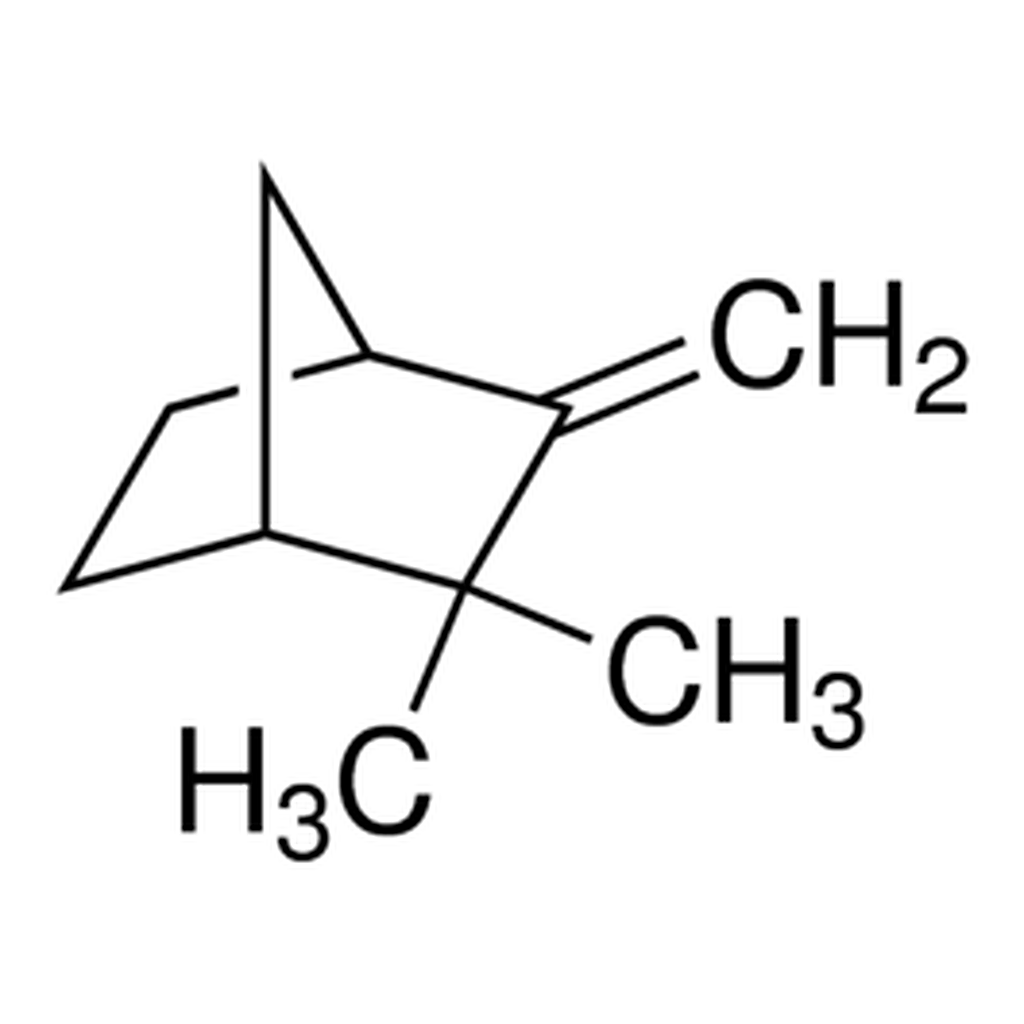 Merck CAMPHENE