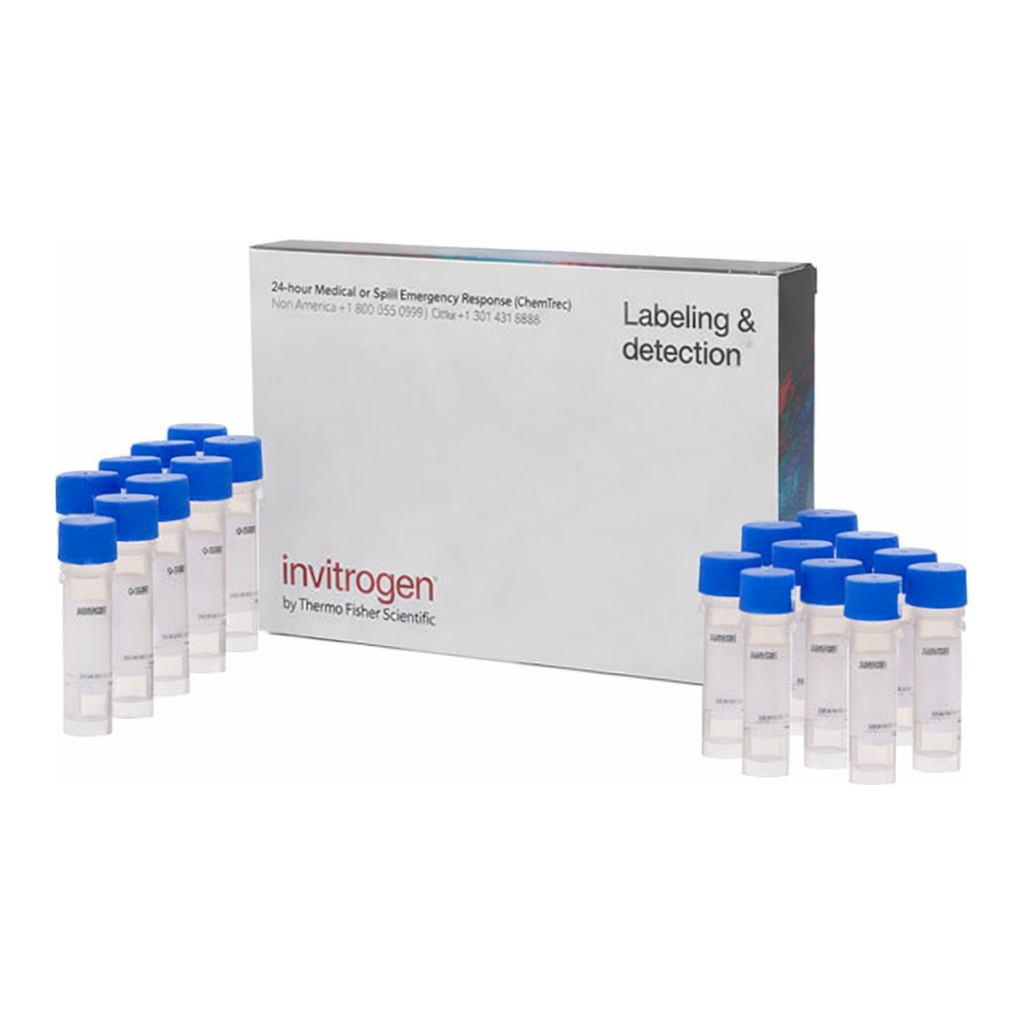 Thermo Fisher Scientific MitoTracker Red FM - Special Packaging, 20 x 50 ug, 20 x 50 ug