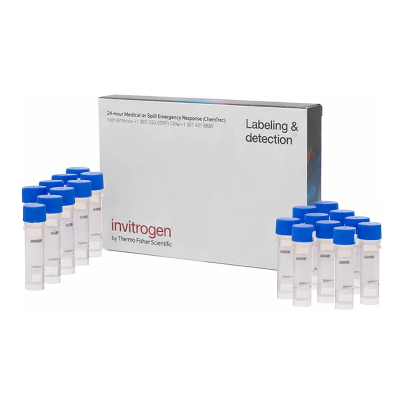 Thermo Fisher Scientific MitoTracker Red FM - Special Packaging, 20 x 50 ug, 20 x 50 ug