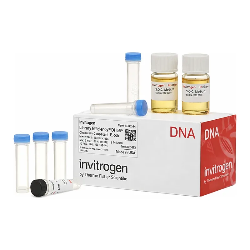 Thermo Fisher Scientific Library Efficiency DH5α Competent Cells