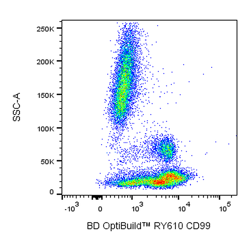 BD RY610 Mouse Anti-Human CD99