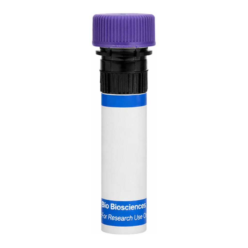 BD RB744 Mouse Anti-Human TCR Vβ8