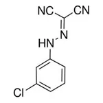 Merck CARBONYL CYANIDE 3-CHLOROPHENYLHYDRAZ&