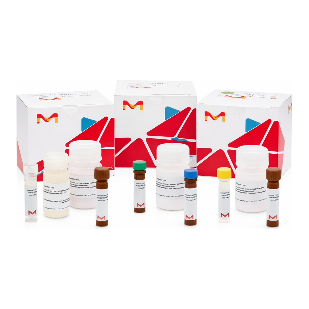 Merck FUMARATE ASSAY KIT