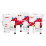 Merck FUMARATE ASSAY KIT