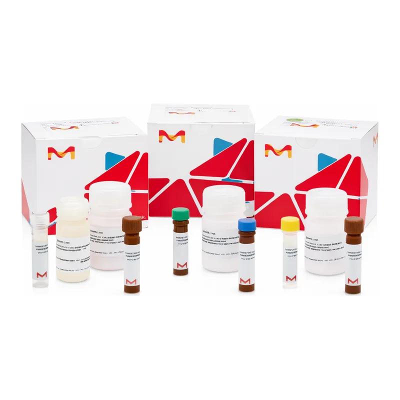 Merck FUMARATE ASSAY KIT