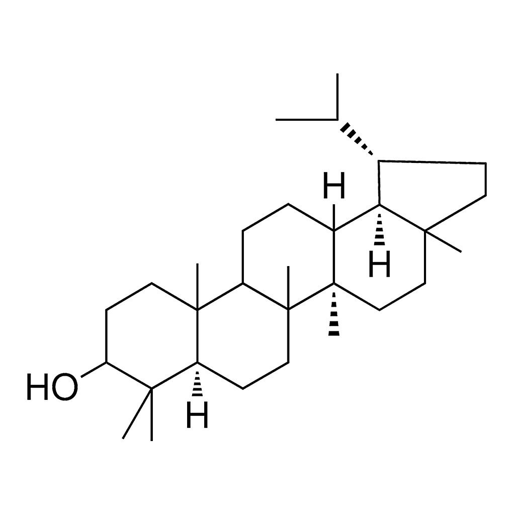 Merck LUPAN-3-BETA-OL - 1 MG