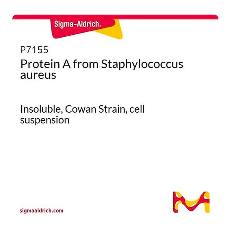 Merck Protein A from Staphylococcus aureus