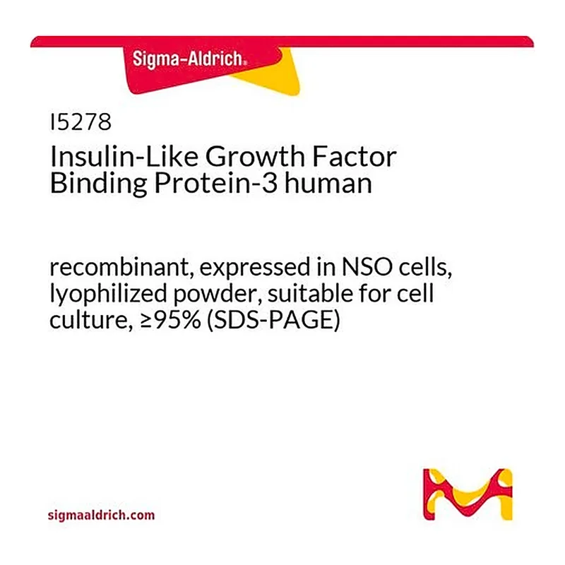 Merck Insulin-Like Growth Factor Binding Protein-3 human