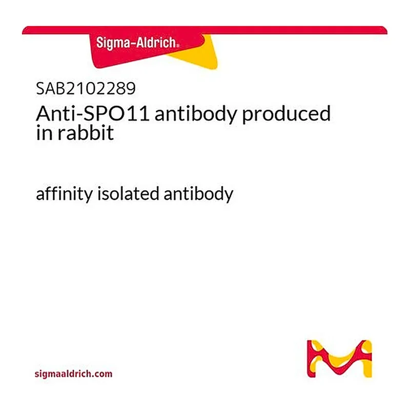 Merck Anti-SPO11 antibody produced in rabbit
