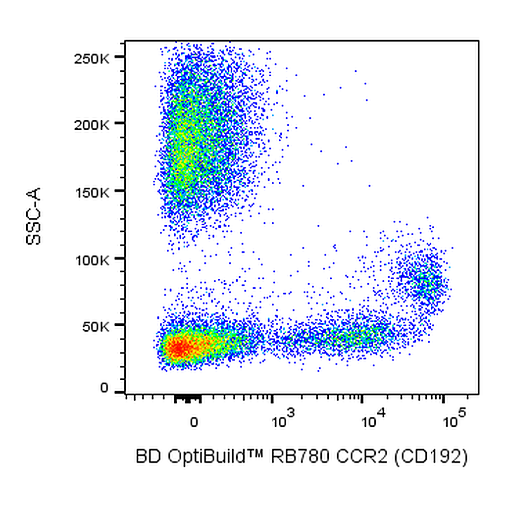 BD RB780 Mouse Anti-Human CD192 (CCR2)