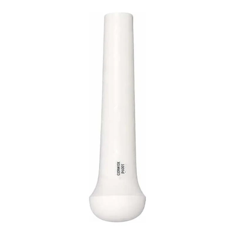 Thermo Fisher Scientific CoorsTek Porcelain Pestle 262mm L