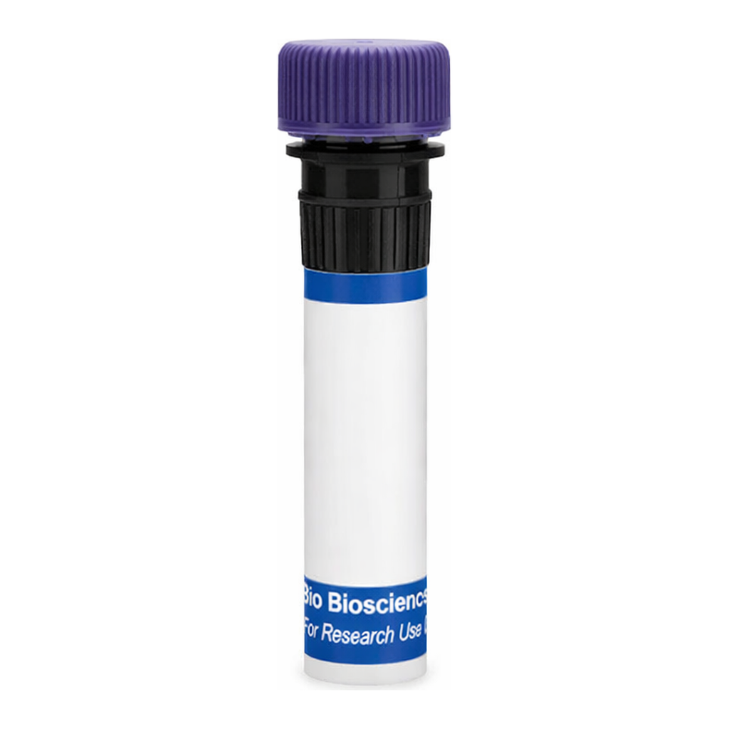 BD RB744 Mouse Anti-Human Alkaline Phosphatase