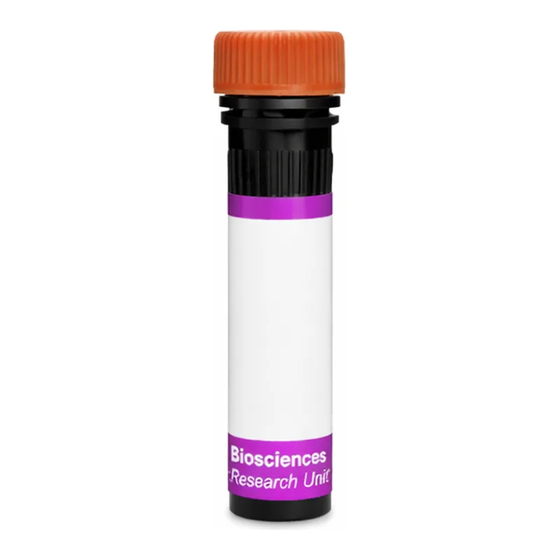 BD BV605 Mouse Anti-Rat β2 Microglobulin