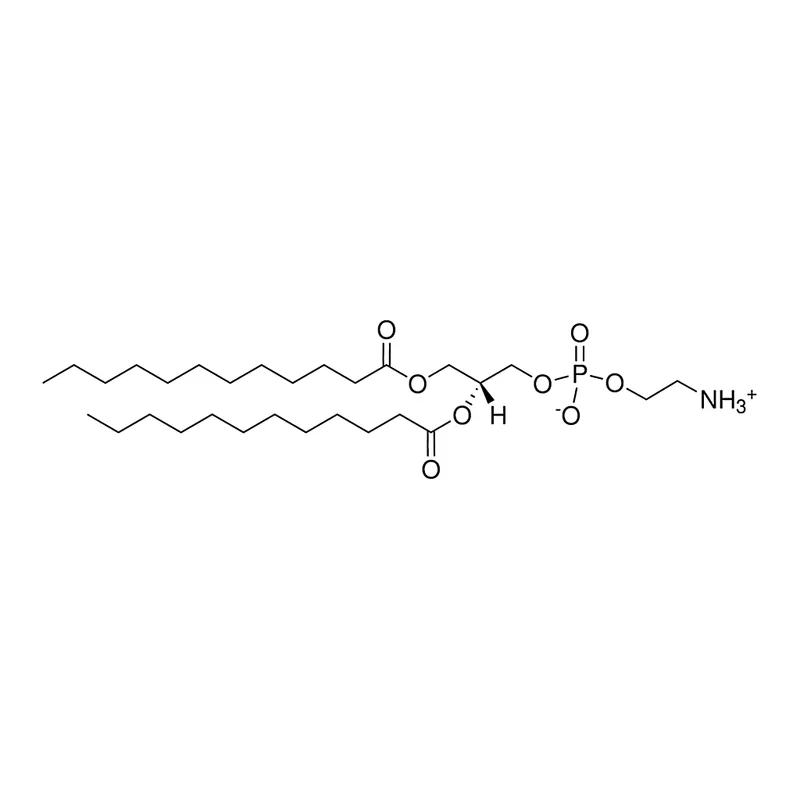 Merck 12:0 PE