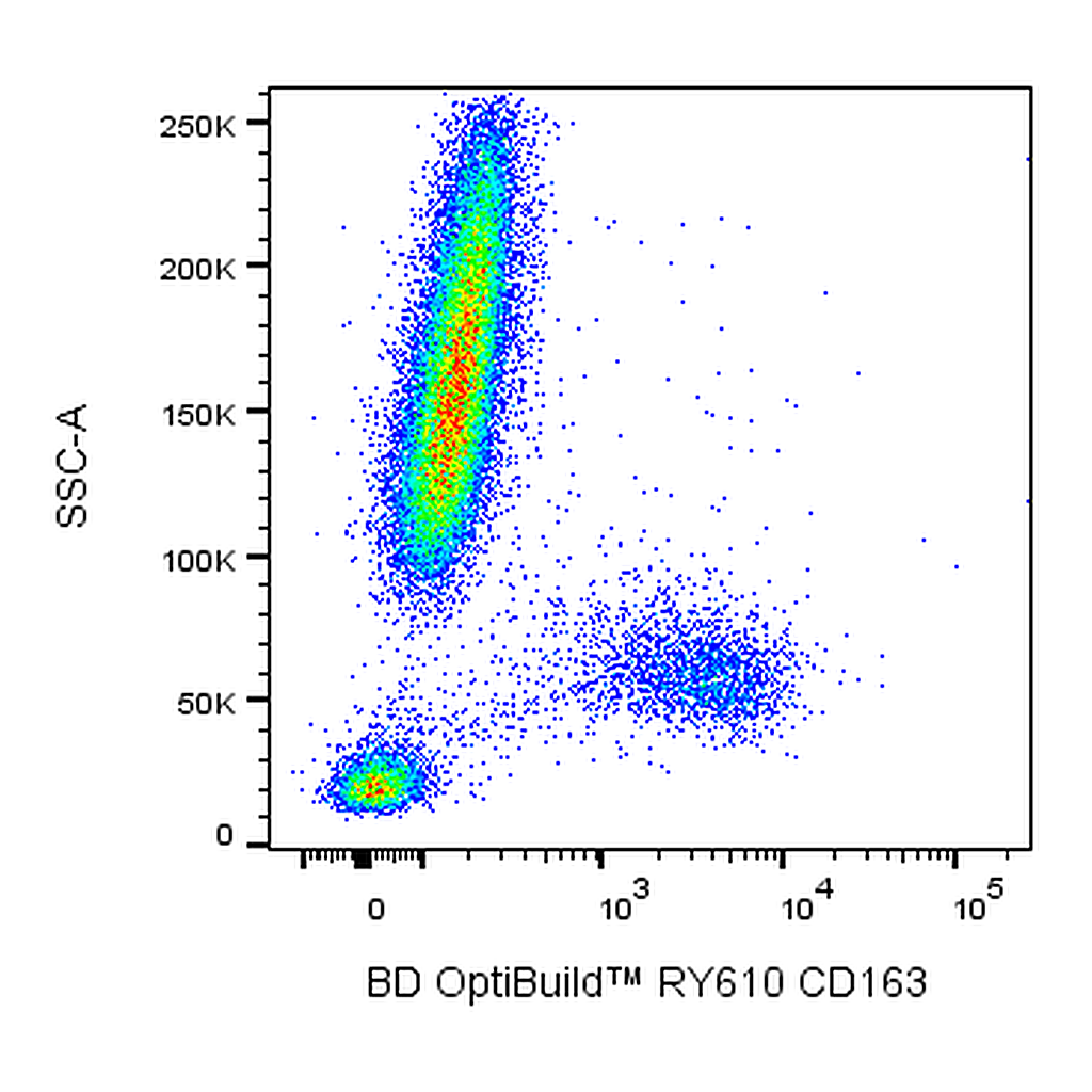 BD RY610 Mouse Anti-Human CD163