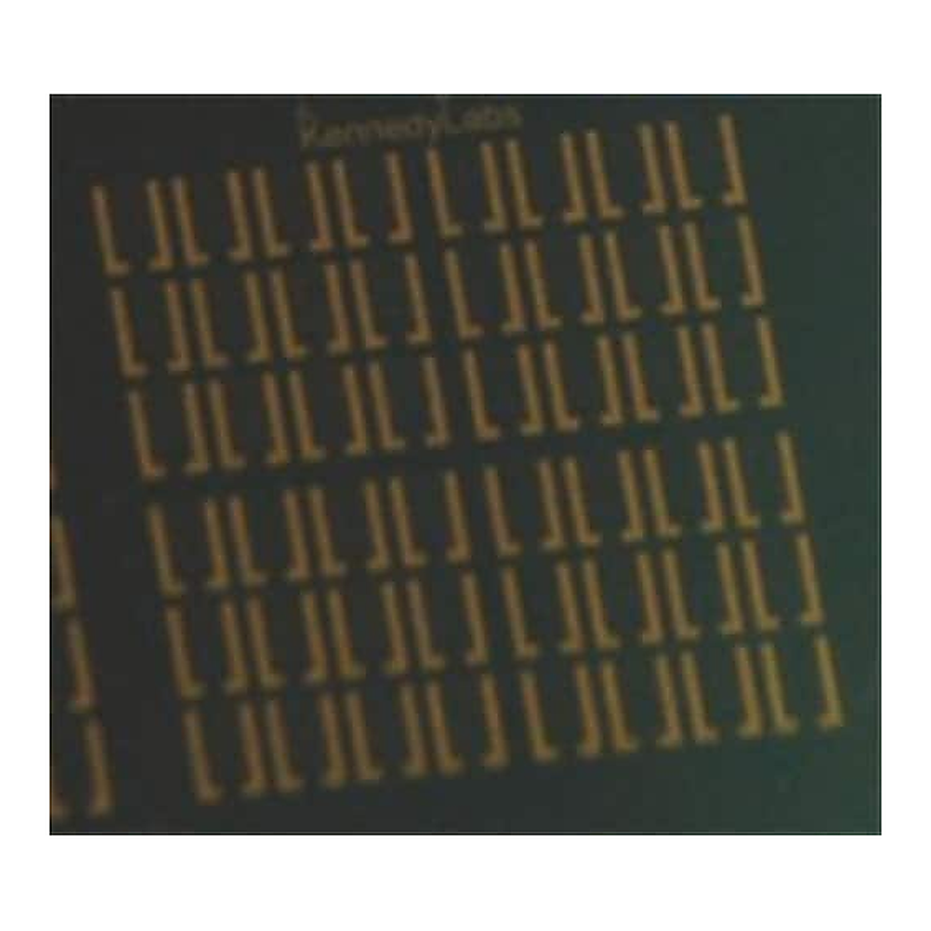 Merck Interdigitated Chip