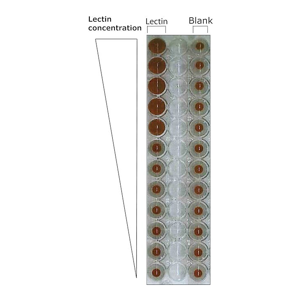 Merck LECTIN FROM PISUM SATIVUM-FITC LABELED