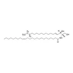 Merck C24:1 CERAMIDE-D7 (D18:1-D7/24:1(15Z))