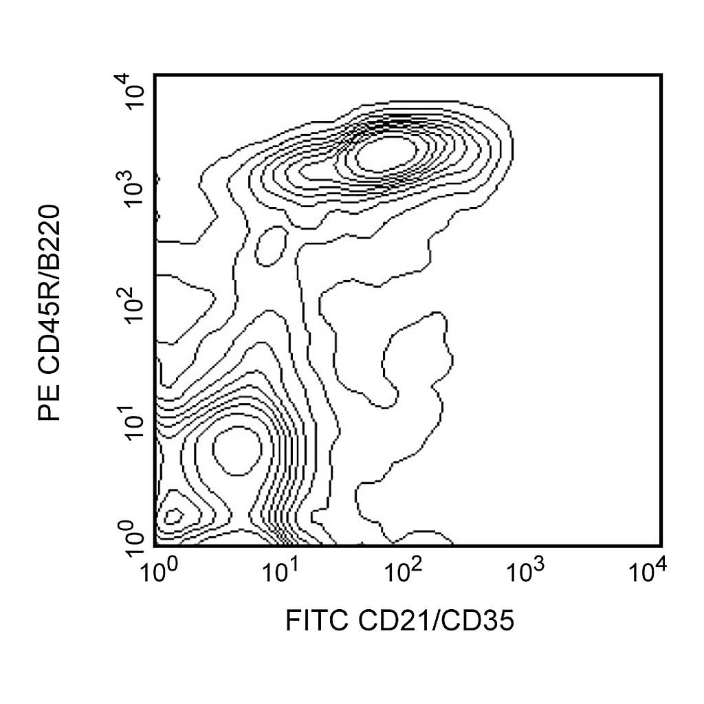 BD FITC Rat Anti-Mouse CD21/CD35
