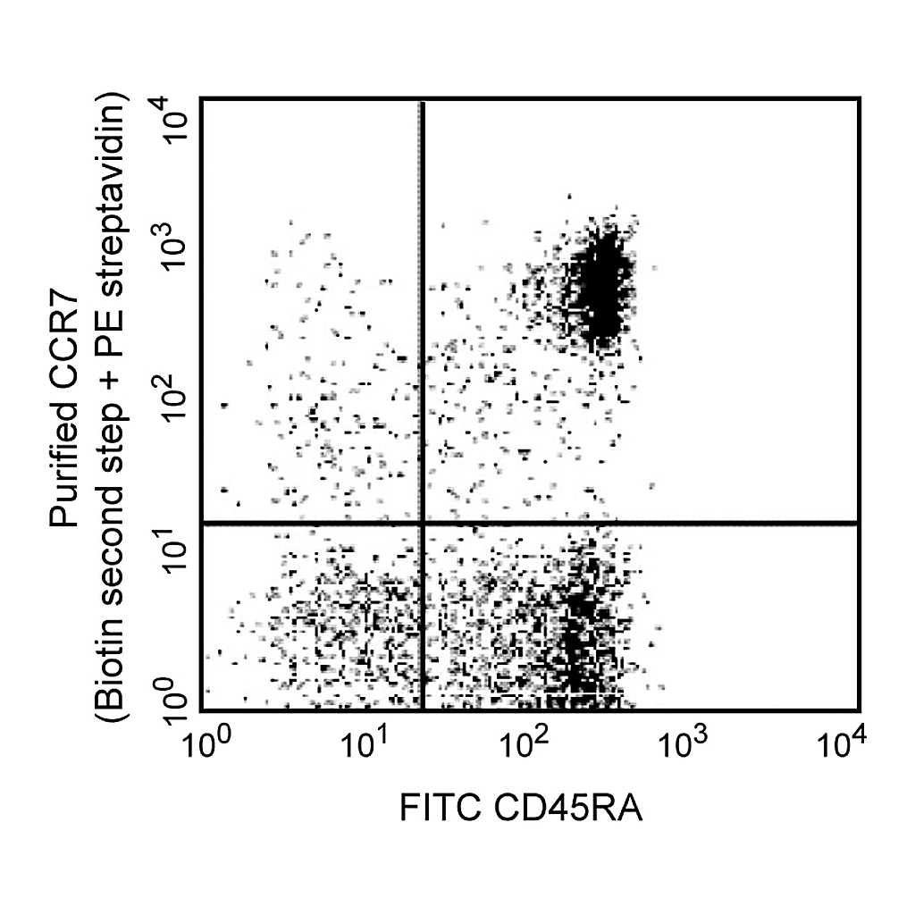 BD Purified Rat Anti-Human CCR7 (CD197)
