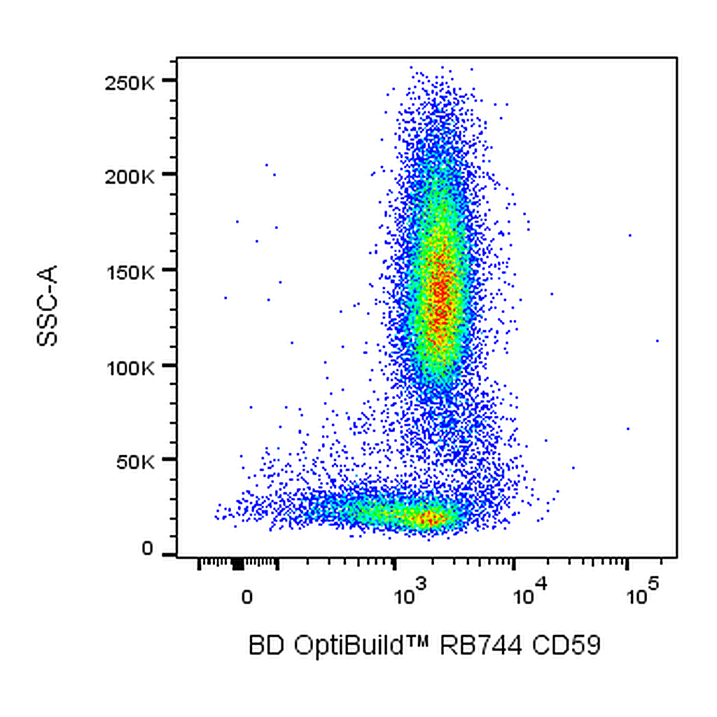 BD RB744 Mouse Anti-Human CD59