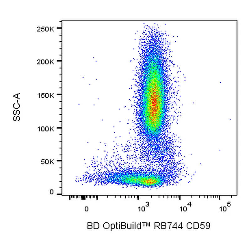 BD RB744 Mouse Anti-Human CD59