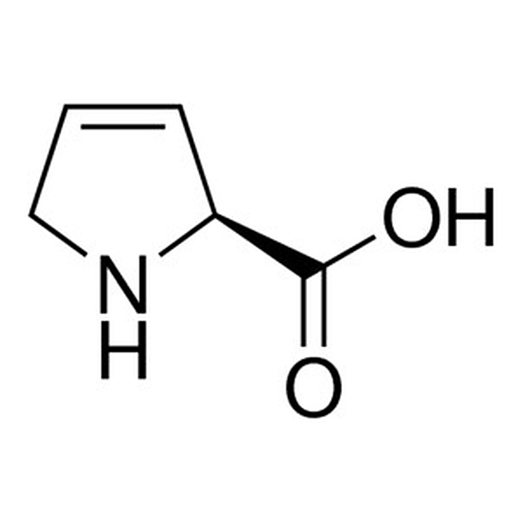 Merck 3,4-DEHYDRO-L-PROLINE