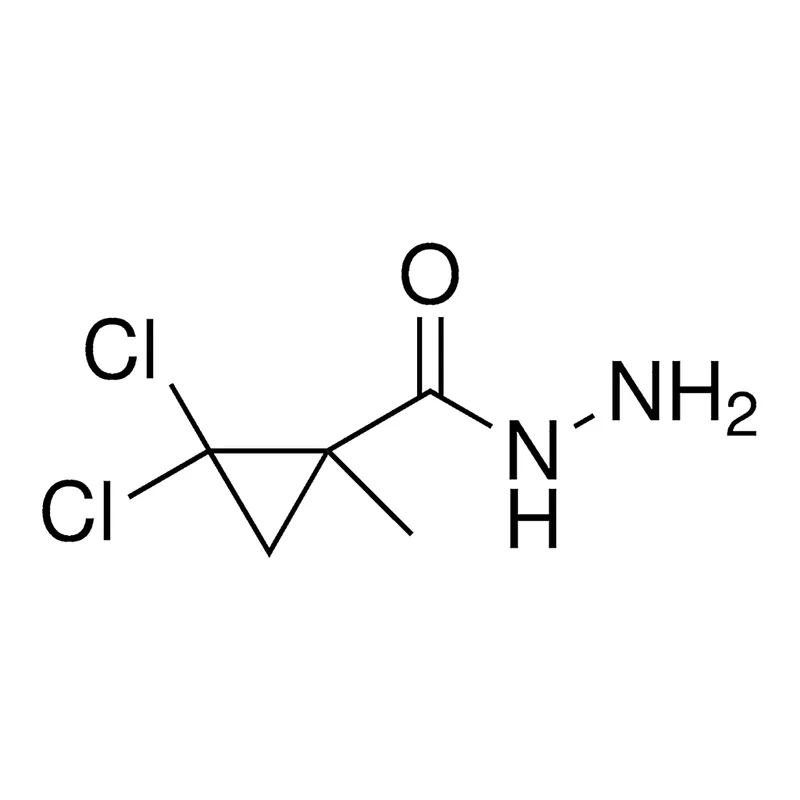 Merck 2,2-DICHLORO-1-METHYL-CYCLOPRO - 50 MG&