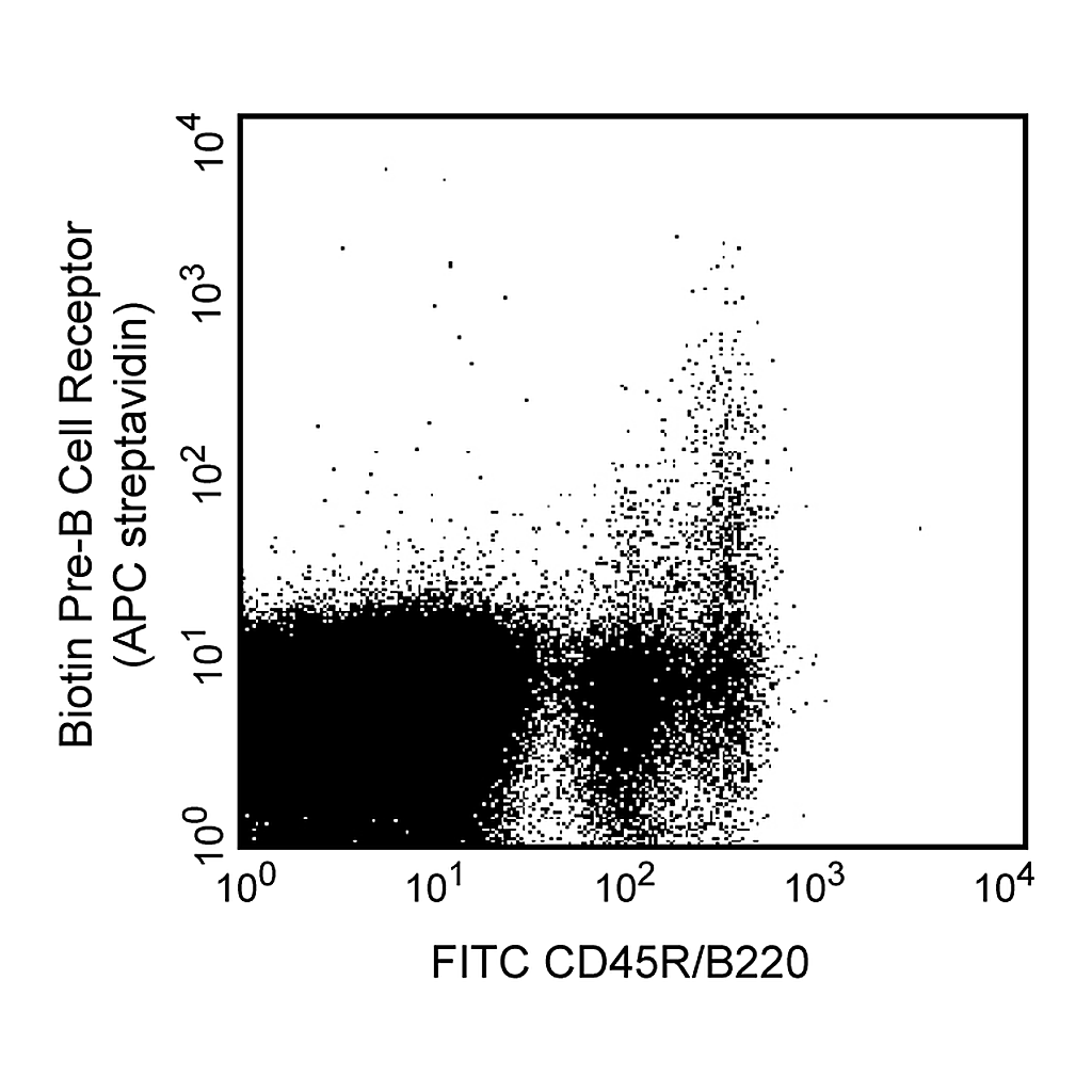 BD Biotin Rat Anti-Mouse Pre-B Cell Receptor