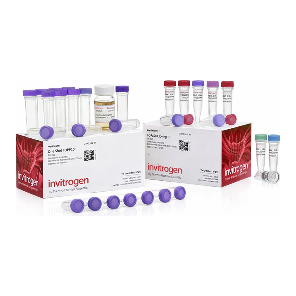 Thermo Fisher Scientific TOPO TA Cloning Kit for Sequencing, with One Shot TOP10 Chemically Competent E. coli, 25 Reactions