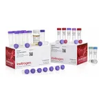 Thermo Fisher Scientific TOPO TA Cloning Kit for Sequencing, with One Shot TOP10 Chemically Competent E. coli, 25 Reactions