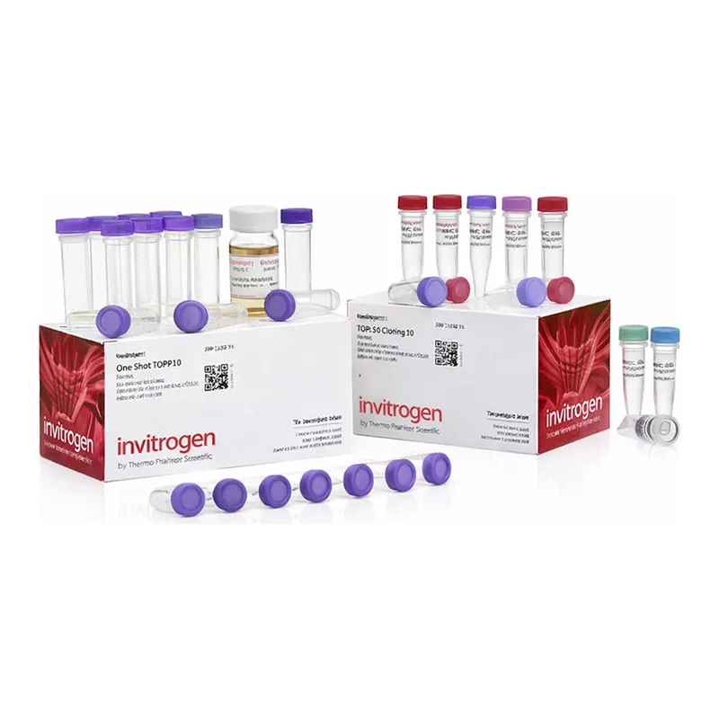 Thermo Fisher Scientific TOPO TA Cloning Kit for Sequencing, with One Shot TOP10 Chemically Competent E. coli, 25 Reactions
