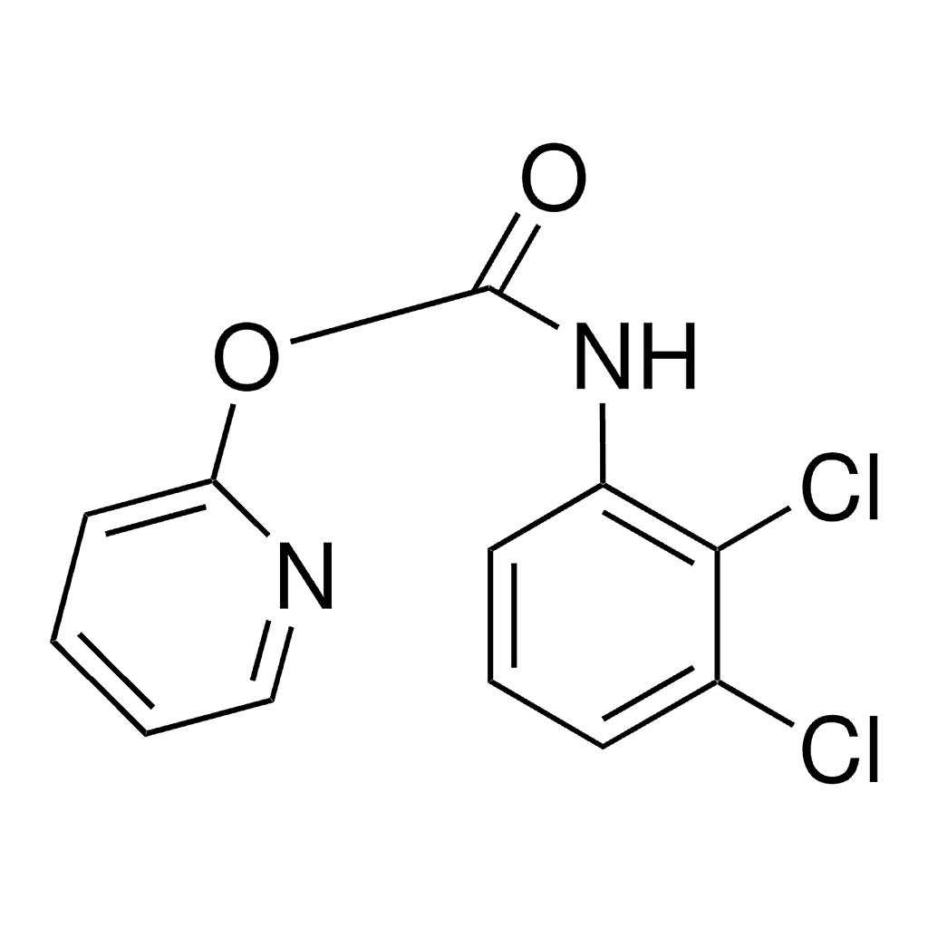 Merck 2-PYRIDYL N-(2,3-DICHLOROPHENY - 50 MG&