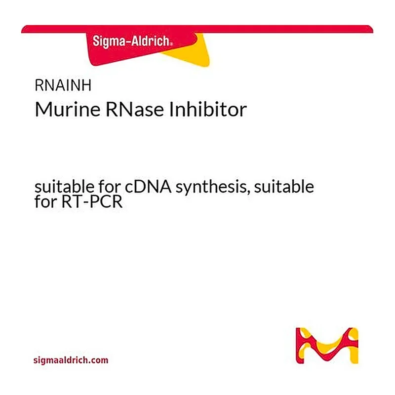Merck Murine RNase Inhibitor
