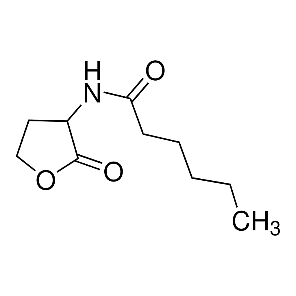 Merck N-Hexanoyl-DL-homoserine lactone