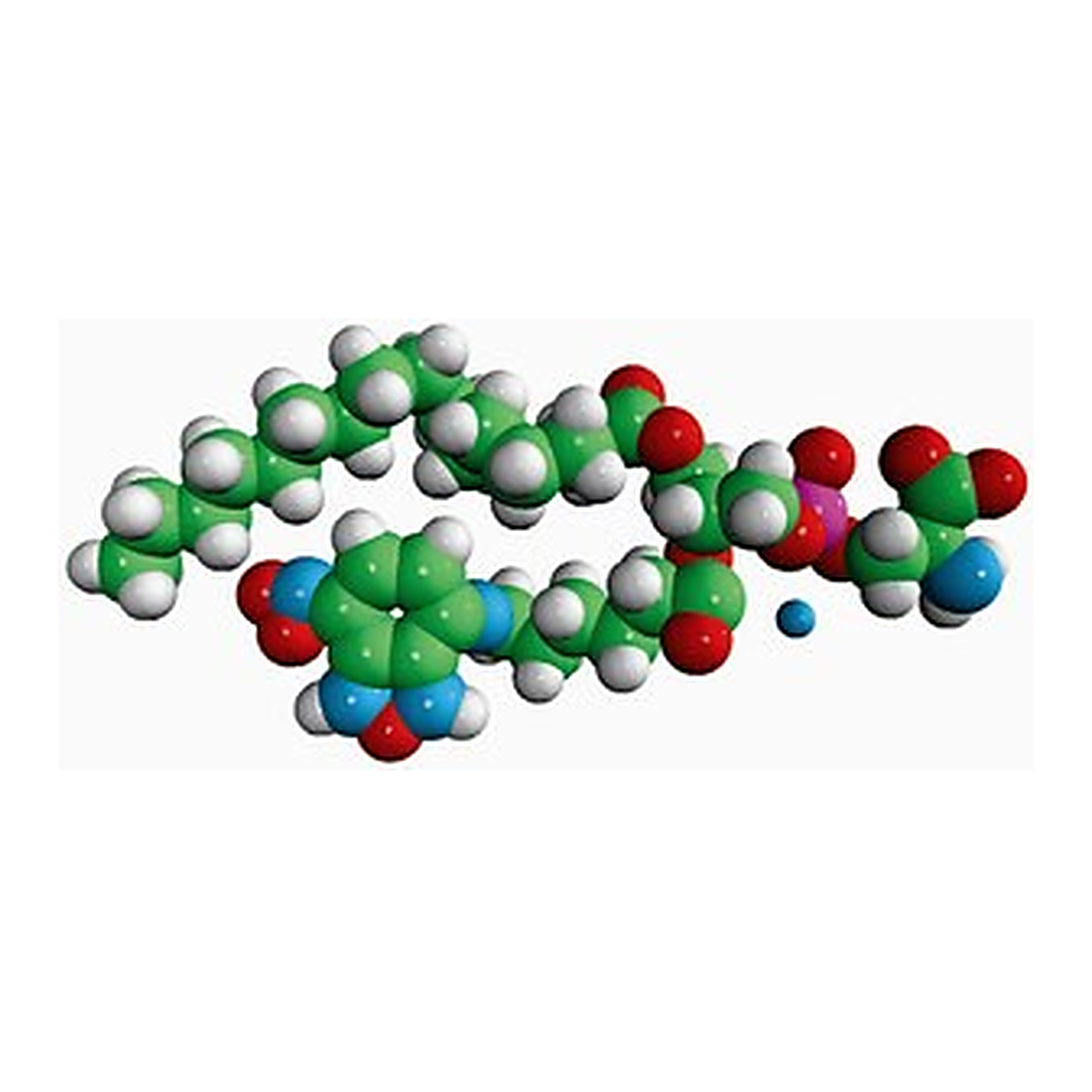 Merck 16:0-06:0 NBD PS