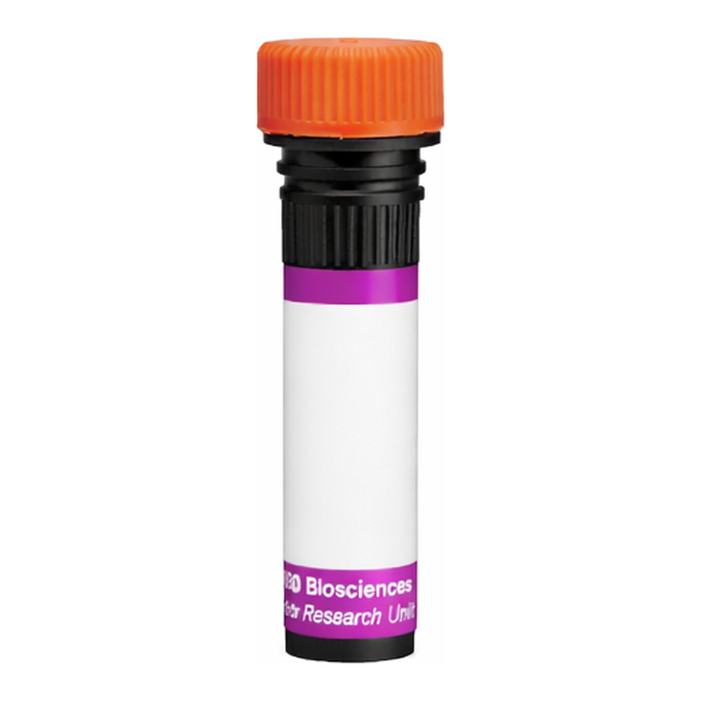 BD BV605 Mouse Anti-Rat Marginal Zone B Cells