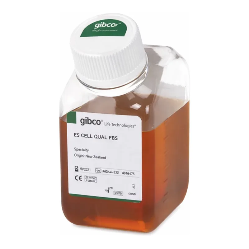 Thermo Fisher Scientific Fetal Bovine Serum, embryonic stem cell-qualified, New Zealand origin, 500 mL