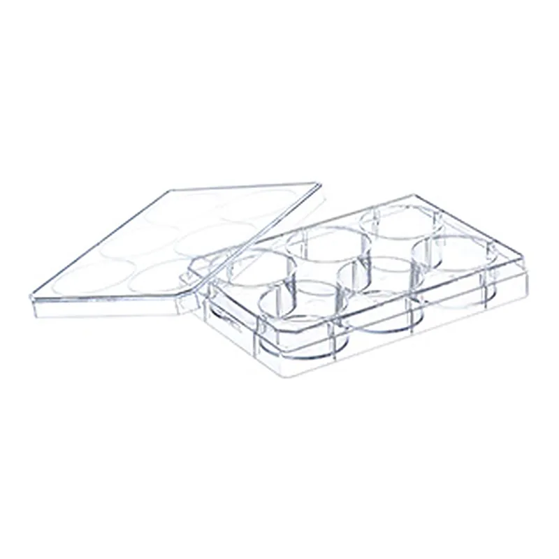 Greiner Bio One CELL CULTURE MULTIWELL PLATE, 6 WELL, PS, CLEAR,ADVANCED TC, LID WITH CONDENSATION RINGS, STERILE, SINGLE PACKED