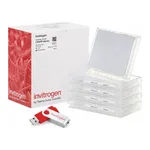 Thermo Fisher Scientific LentiArray Human Kinase CRISPR Library