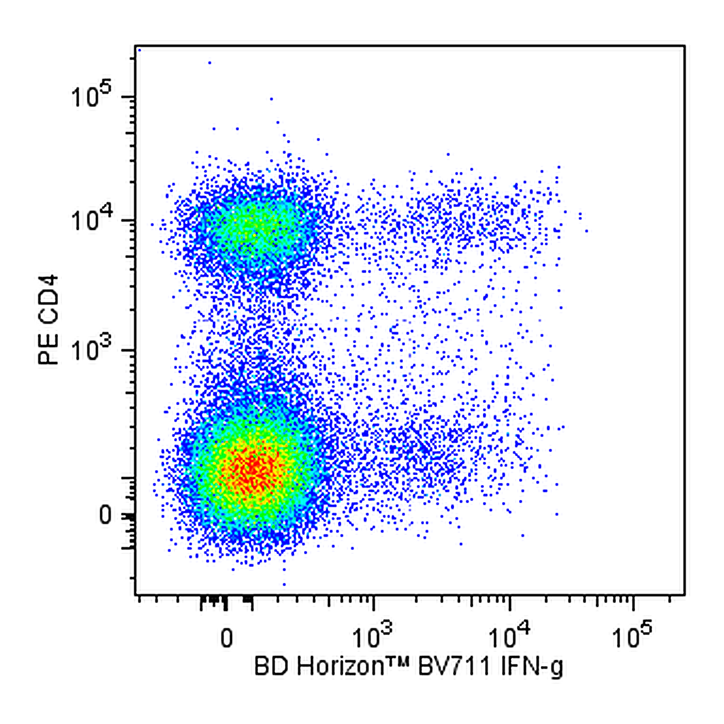 BD BV711 Rat Anti-Mouse IFN-γ